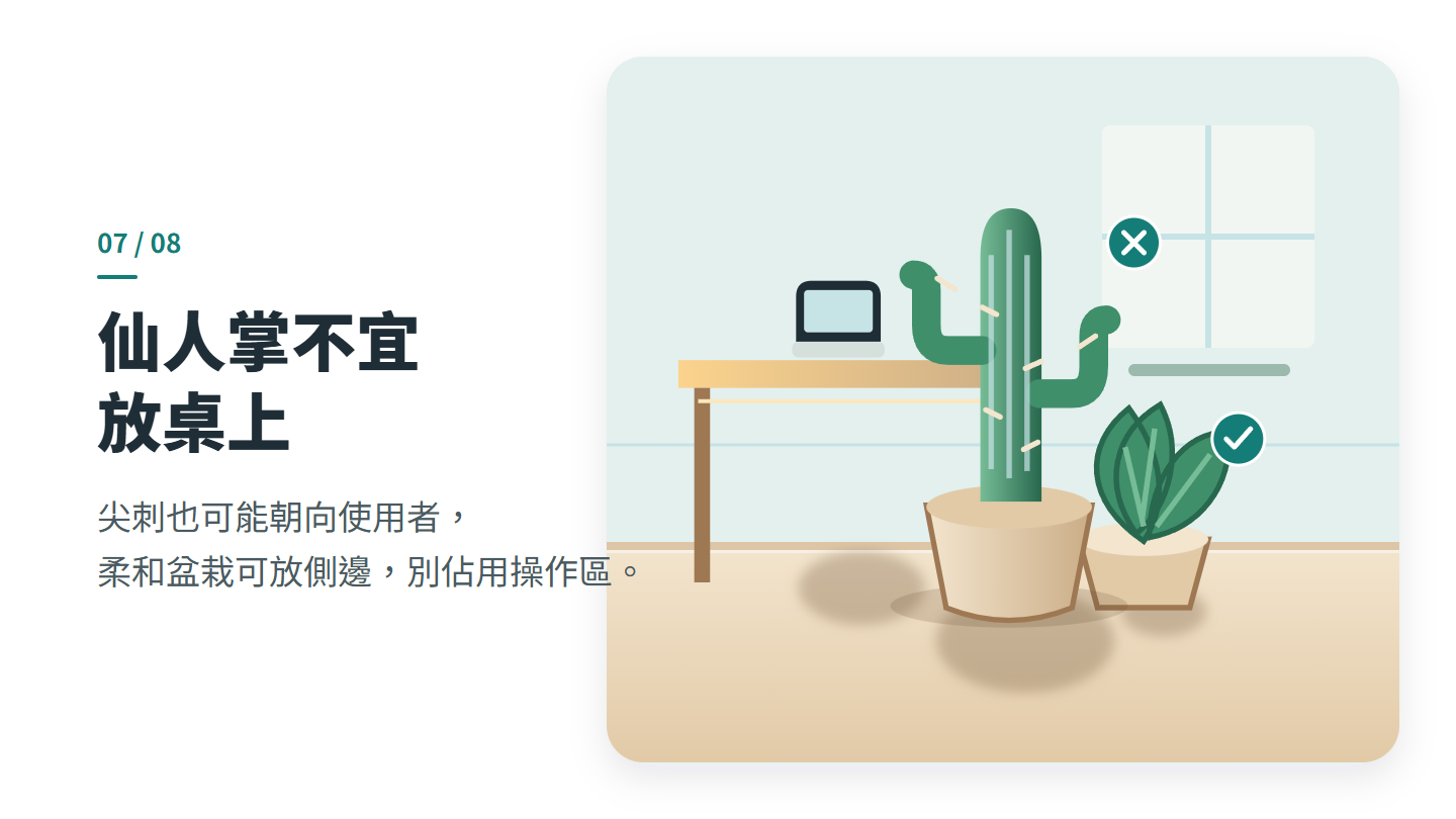 仙人掌不宜 放桌上