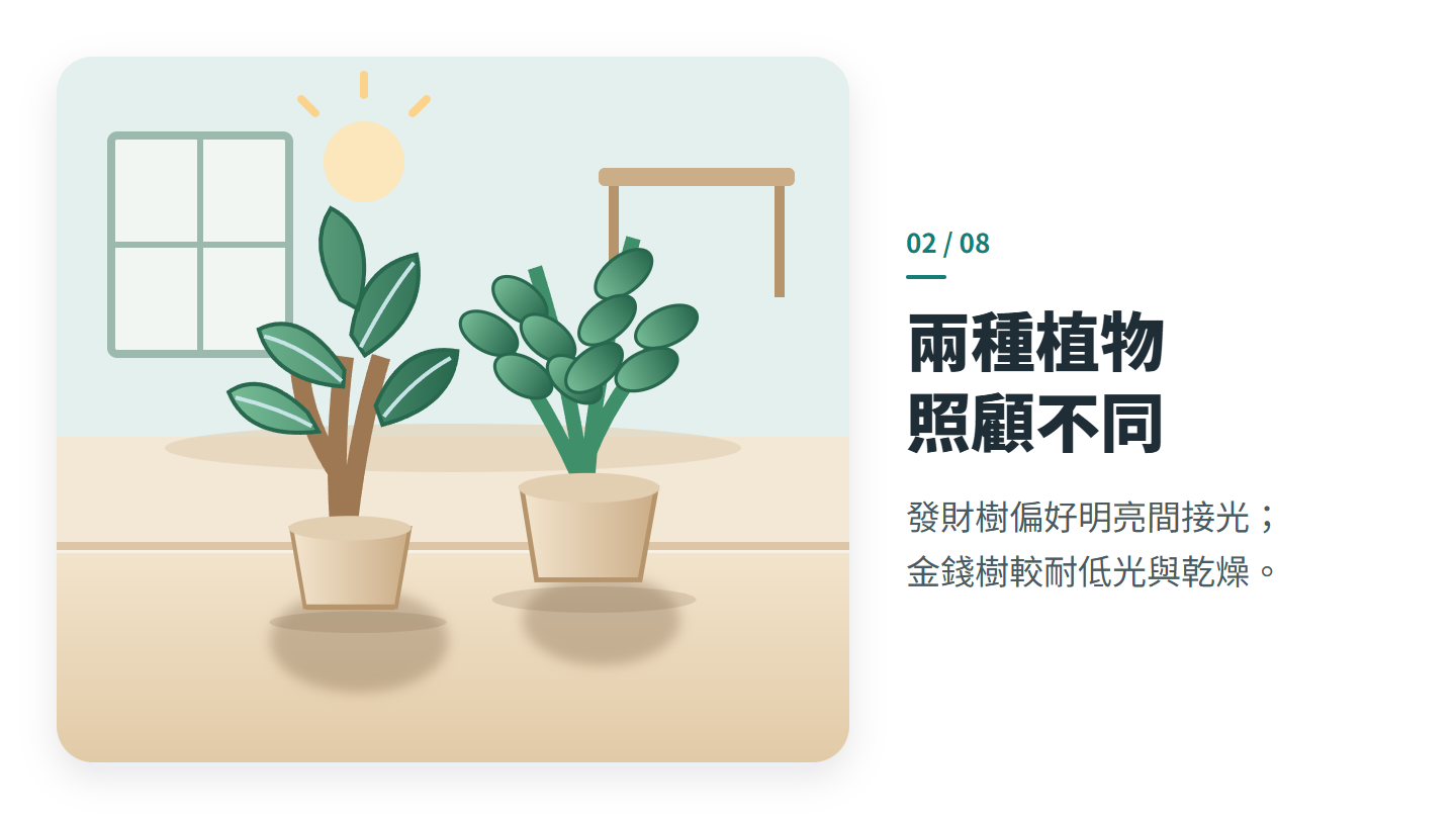 兩種植物 照顧不同