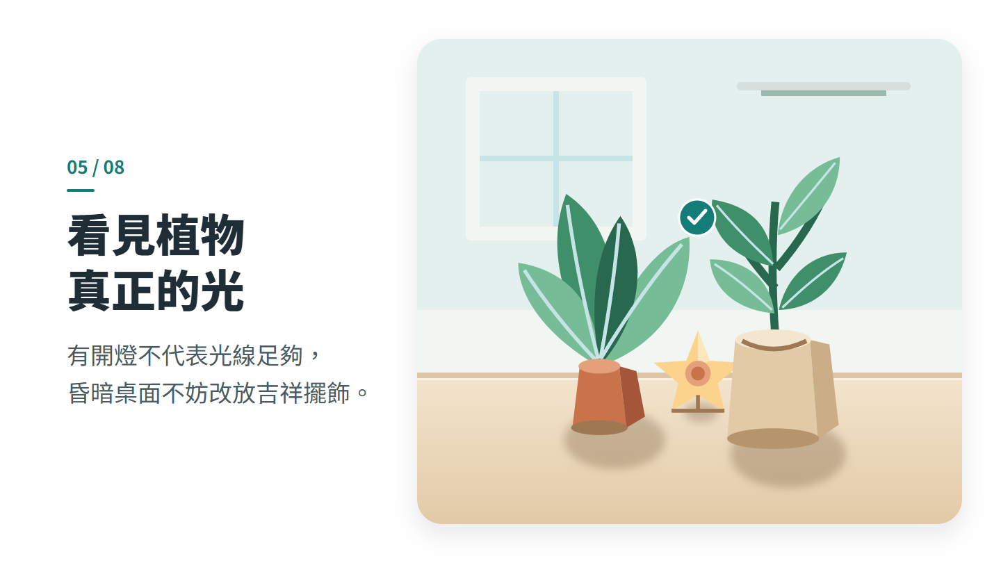 看見植物 真正的光