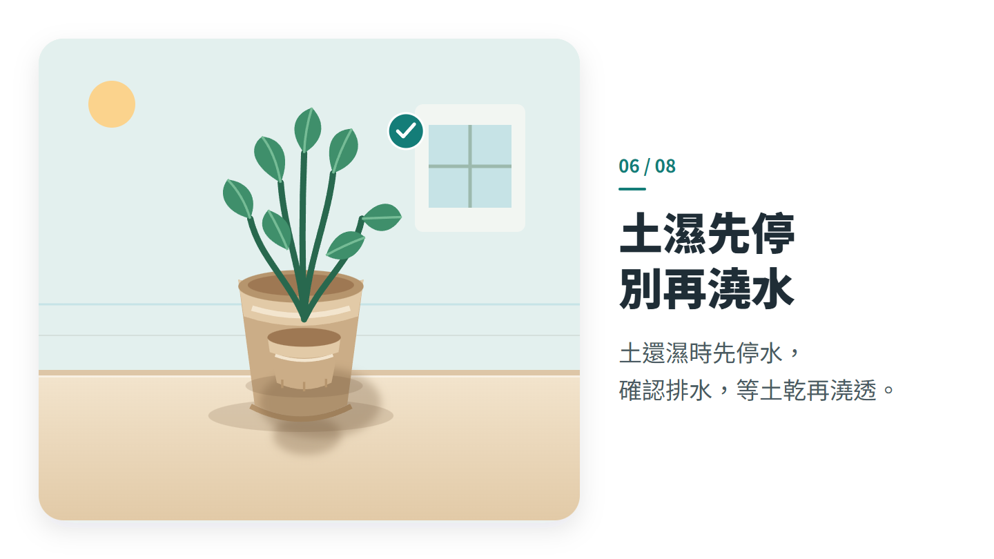 土濕先停 別再澆水