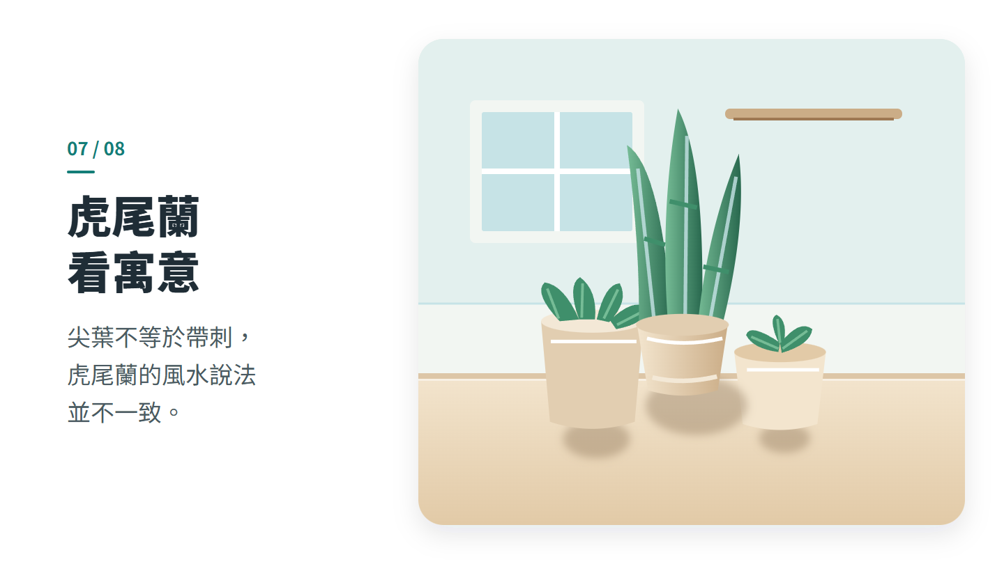 虎尾蘭 看寓意