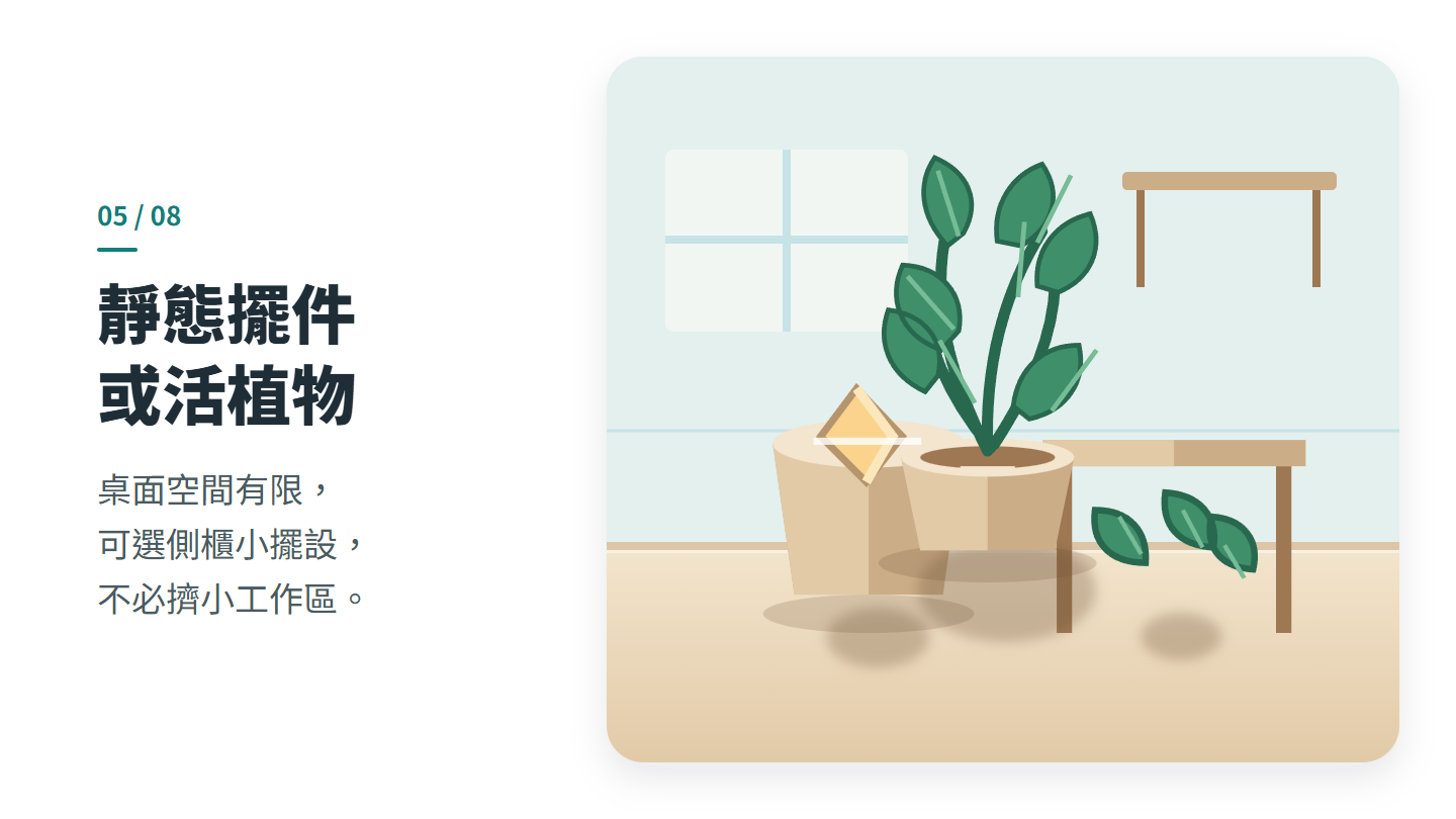靜態擺件 或活植物