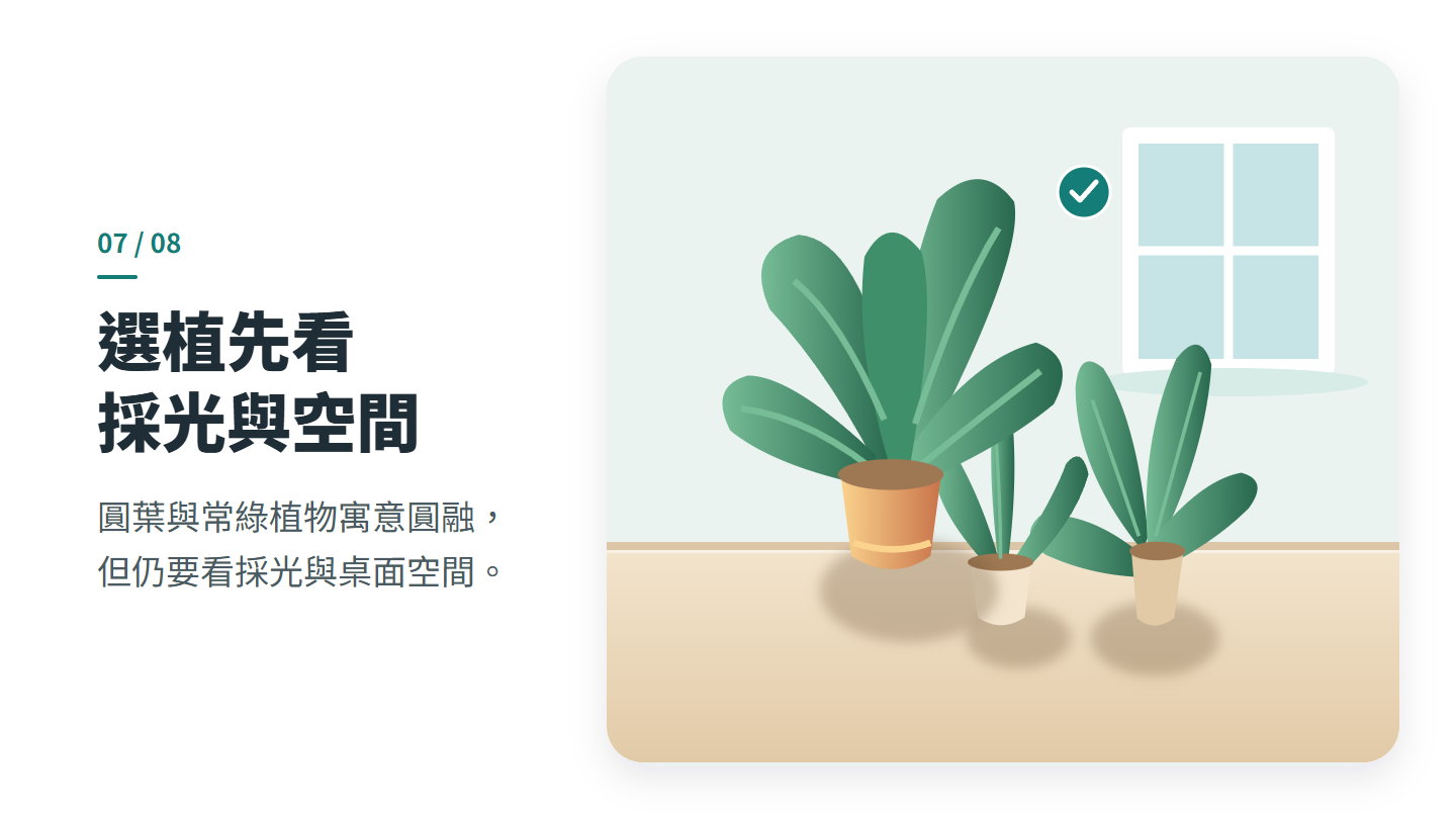 選植先看 採光與空間