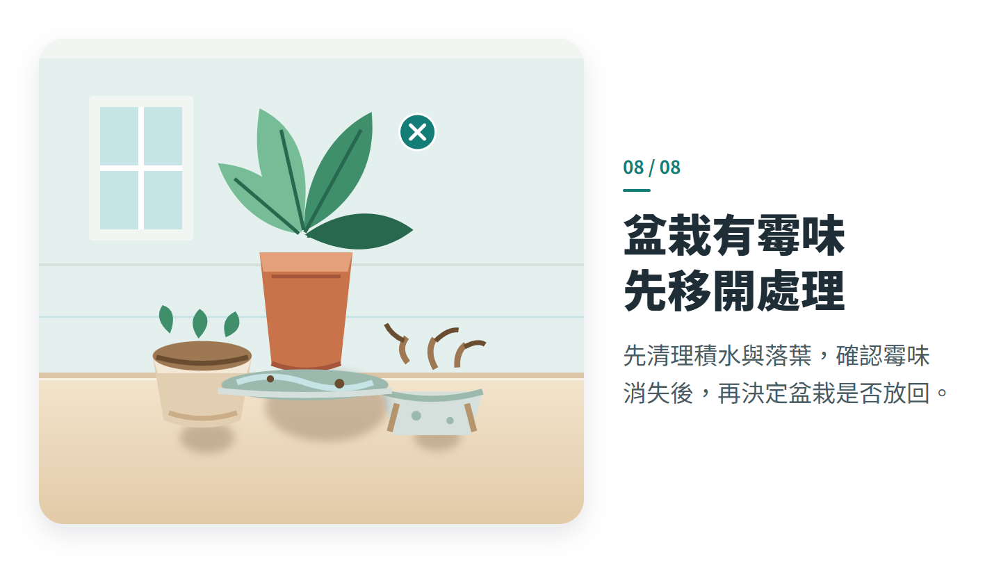 盆栽有霉味 先移開處理
